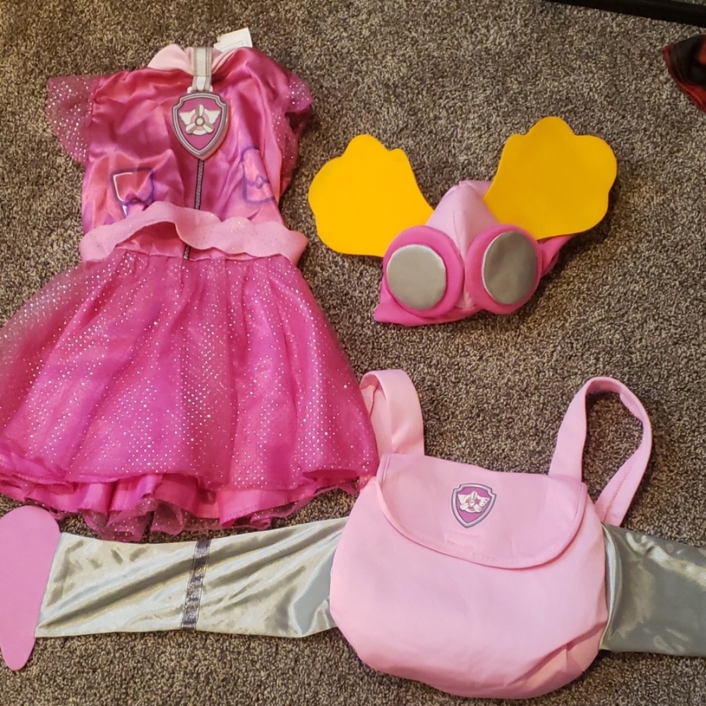 Paw Patrol Skye costume 3t-4t